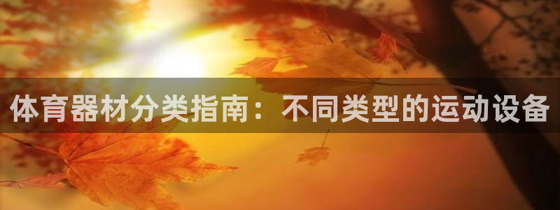 尊龙l1500：体育器材分类指南：不同类型的运动设备