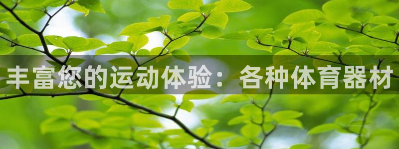 尊龙凯时不给提现怎么办：丰富您的运动体验：各种体育器