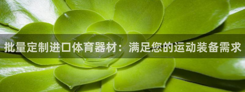 尊龙人生就是博旗舰厅：批量定制进口体育器材：满足您的