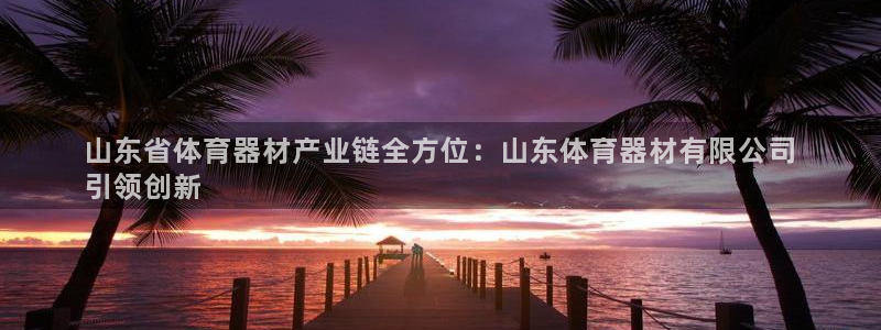尊龙会：山东省体育器材产业链全方位：山东体育器材有限