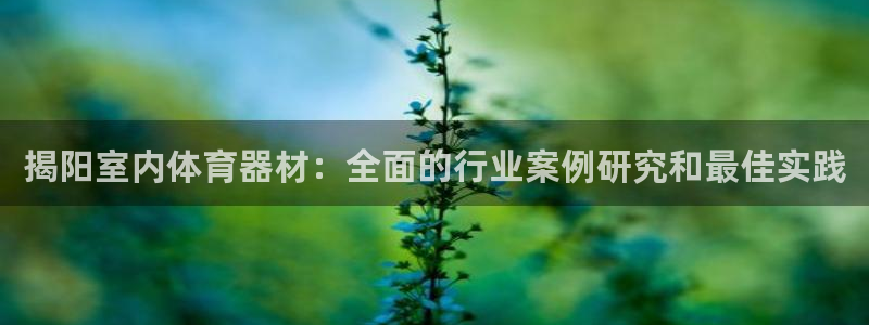尊龙ag旗舰厅官网登录：揭阳室内体育器材：全面的行业