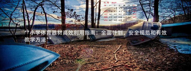 尊龙凯时城娱乐：**小学体育器材高效利用指南：全面计