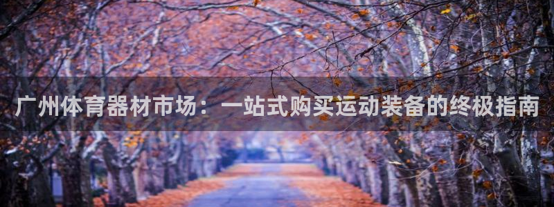 尊龙凯时旗舰厅百家乐下载：广州体育器材市场：一站式购