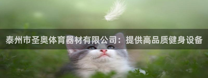 尊龙凯时泰安：泰州市圣奥体育器材有限公司：提供高品质