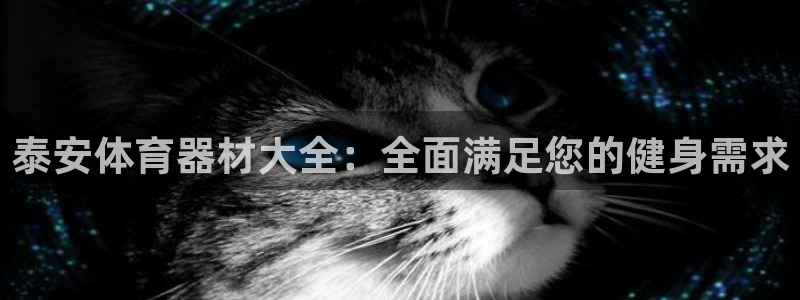 凯时kb88官网网址：泰安体育器材大全：全面满足您的