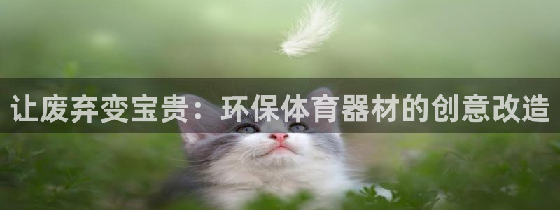尊龙凯时ag旗舰厅官网客服：让废弃变宝贵：环保体育器
