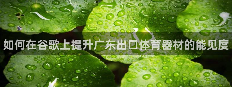 尊龙凯时网页版：如何在谷歌上提升广东出口体育器材的能