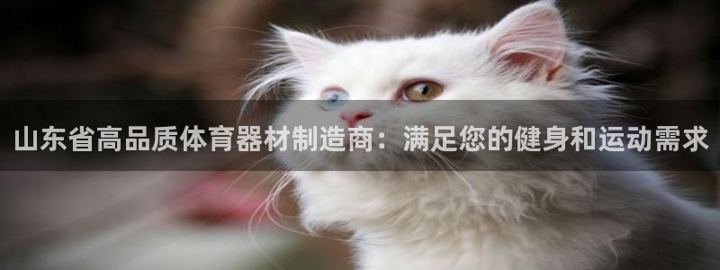 尊龙现金一下指导AG发财网：山东省高品质体育器材制造