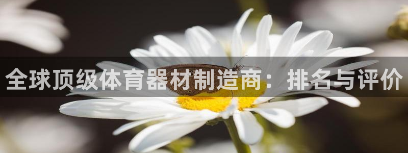 尊龙现金一下S选来就送38：全球顶级体育器材制造商：