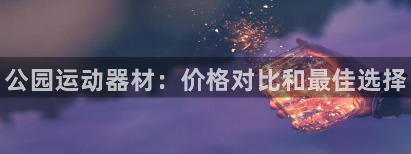 z6尊龙凯时：公园运动器材：价格对比和最佳选择