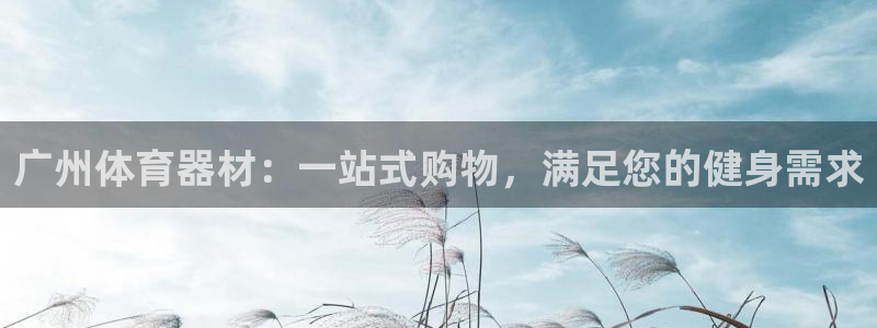 尊龙公司：广州体育器材：一站式购物，满足您的健身需求