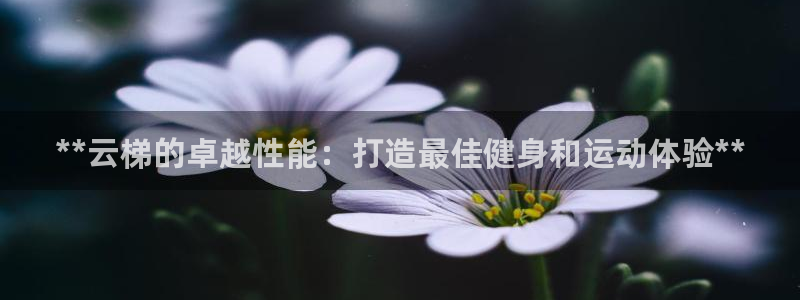 旧版尊龙人生就是博下载：**云梯的卓越性能：打造最佳