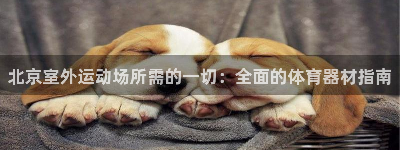 d88尊龙官方网：北京室外运动场所需的一切：全面的体