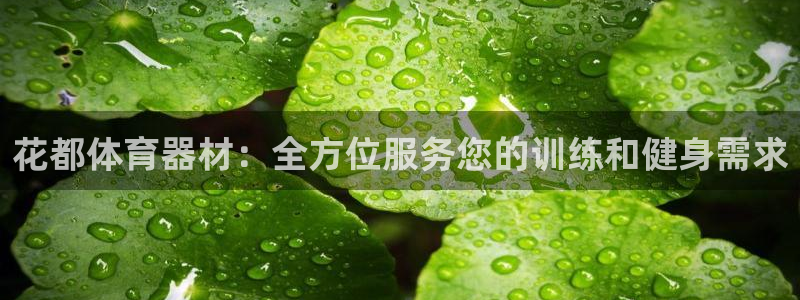 尊龙凯时代理官网入口：花都体育器材：全方位服务您的训