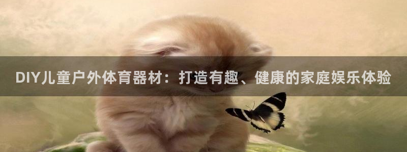 尊龙凯时导航菜单首页：DIY儿童户外体育器材：打造有
