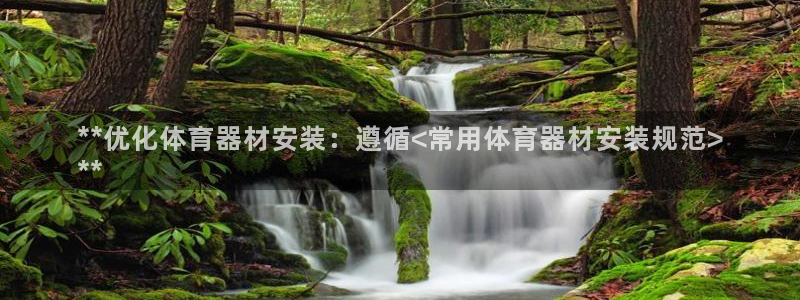 尊龙人生就是博旗舰厅：**优化体育器材安装：遵循<常