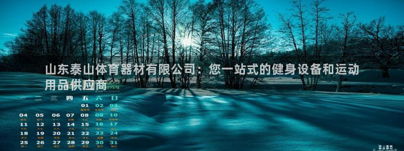 凯时平台怎么样：山东泰山体育器材有限公司：您一站式的