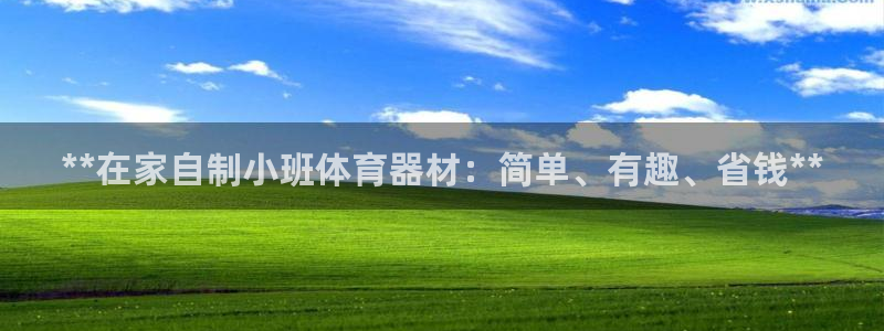 尊龙凯时ag旗舰厅官方网站：**在家自制小班体育器材