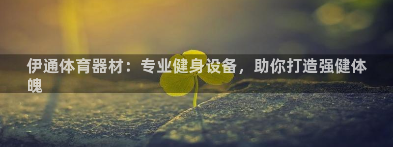 国际凯时ag优质运营商：伊通体育器材：专业健身设备，