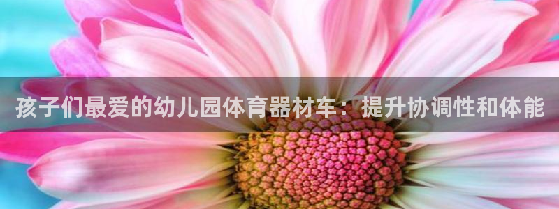 尊龙实业有限公司是正规还是仿：孩子们最爱的幼儿园体育