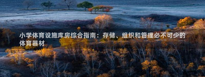 凯时官网：小学体育设施库房综合指南：存储、组织和管理