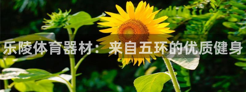尊龙凯时 人生就是搏客服：乐陵体育器材：来自五环的优
