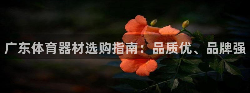 尊龙d88官网登录下载：广东体育器材选购指南：品质优