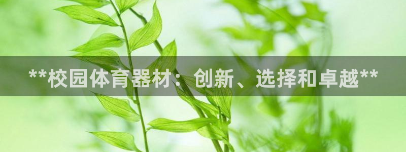 尊龙凯时赞助：**校园体育器材：创新、选择和卓越**