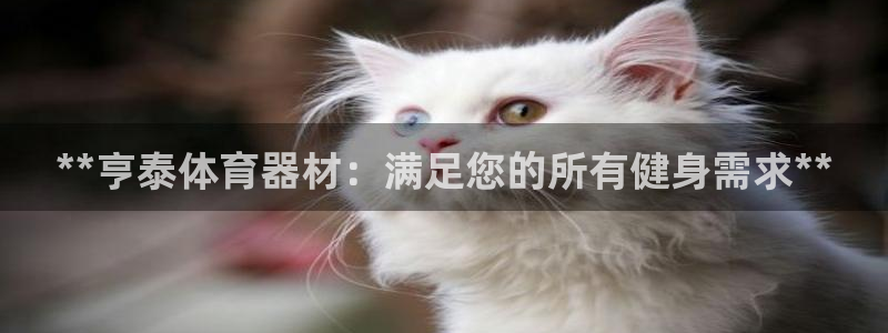 尊龙软件下载：**亨泰体育器材：满足您的所有健身需求