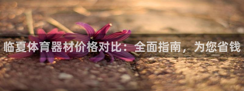 d88尊龙官网手机app：临夏体育器材价格对比：全面