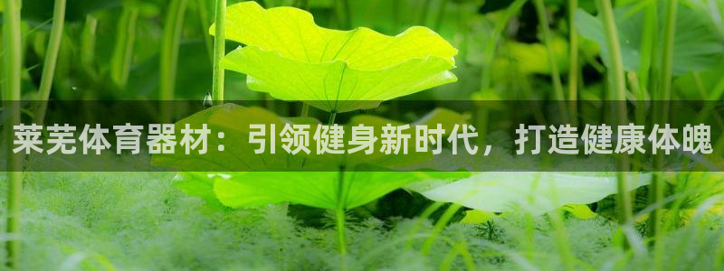 尊龙用现金一下可靠送38元：莱芜体育器材：引领健身新