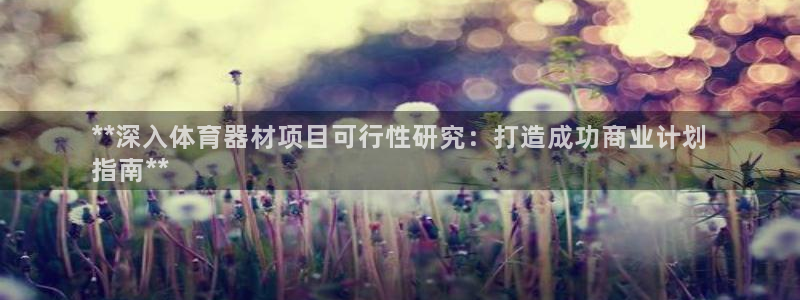 凯时官网手机版首页：**深入体育器材项目可行性研究：