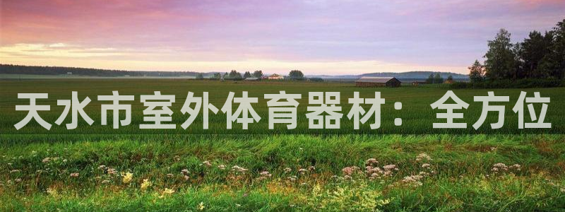凯时国际app首页登录入口：天水市室外体育器材：全方