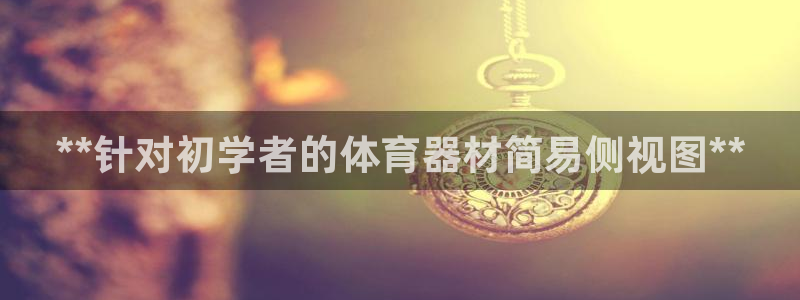 尊龙凯时只输不赢：**针对初学者的体育器材简易侧视图
