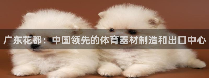 凯时尊龙app国际官方网站：广东花都：中国领先的体育