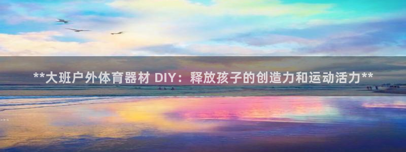 Ag尊龙平台：**大班户外体育器材 DIY：释放孩子