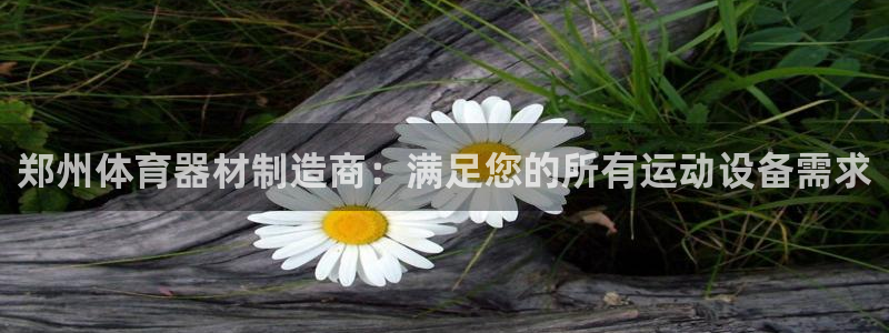 z6尊龙官网：郑州体育器材制造商：满足您的所有运动设