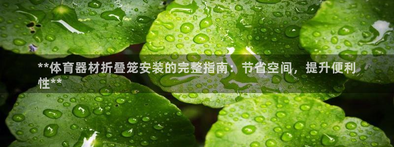 尊龙手机版下载：**体育器材折叠笼安装的完整指南：节