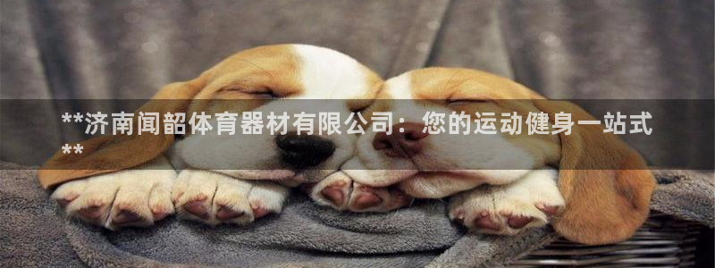 尊龙人生就是博旧版网址：**济南闻韶体育器材有限公司
