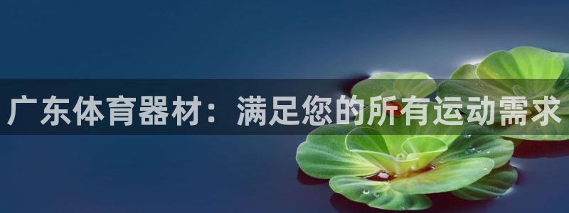 尊龙凯时官网平台：广东体育器材：满足您的所有运动需求