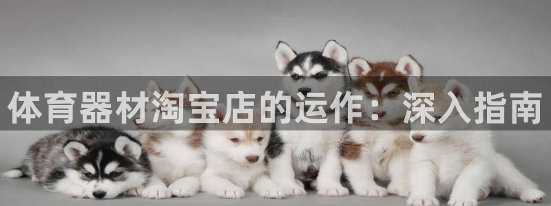尊龙版末代皇帝：体育器材淘宝店的运作：深入指南