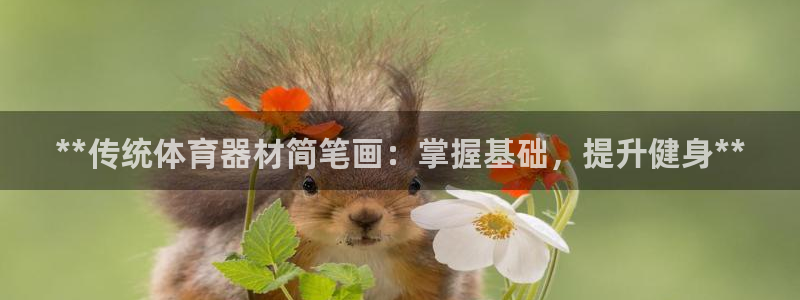 尊龙ag旗舰：**传统体育器材简笔画：掌握基础，提升
