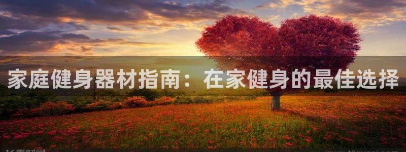 尊龙登录：家庭健身器材指南：在家健身的最佳选择