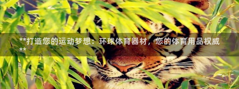 尊龙d88现金旧版本：**打造您的运动梦想：环球体育