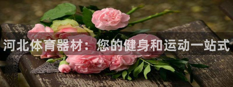 ZL尊龙凯时平台：河北体育器材：您的健身和运动一站式
