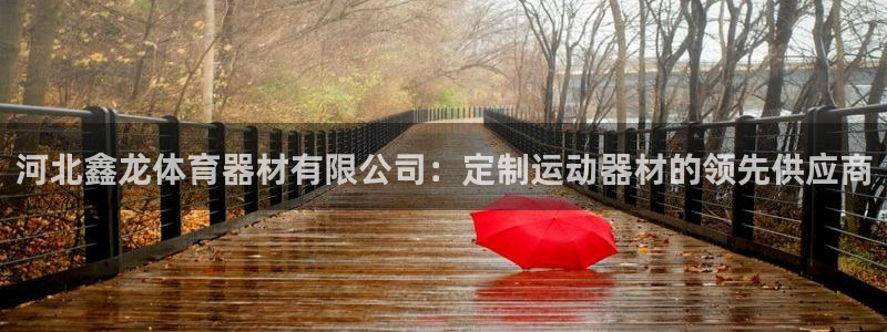 尊龙凯时app产品介绍：河北鑫龙体育器材有限公司：定