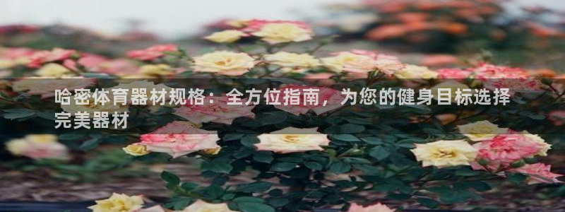 尊龙凯时ag旗舰厅官网客服：哈密体育器材规格：全方位