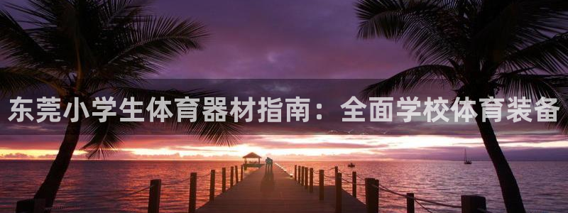 K66凯时国际平台官网：东莞小学生体育器材指南：全面