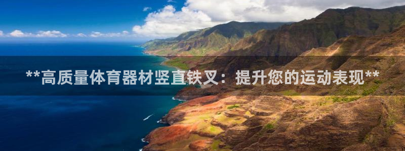 z6尊龙官网平台下载：**高质量体育器材竖直铁叉：提