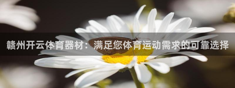 尊龙注册码：赣州开云体育器材：满足您体育运动需求的可